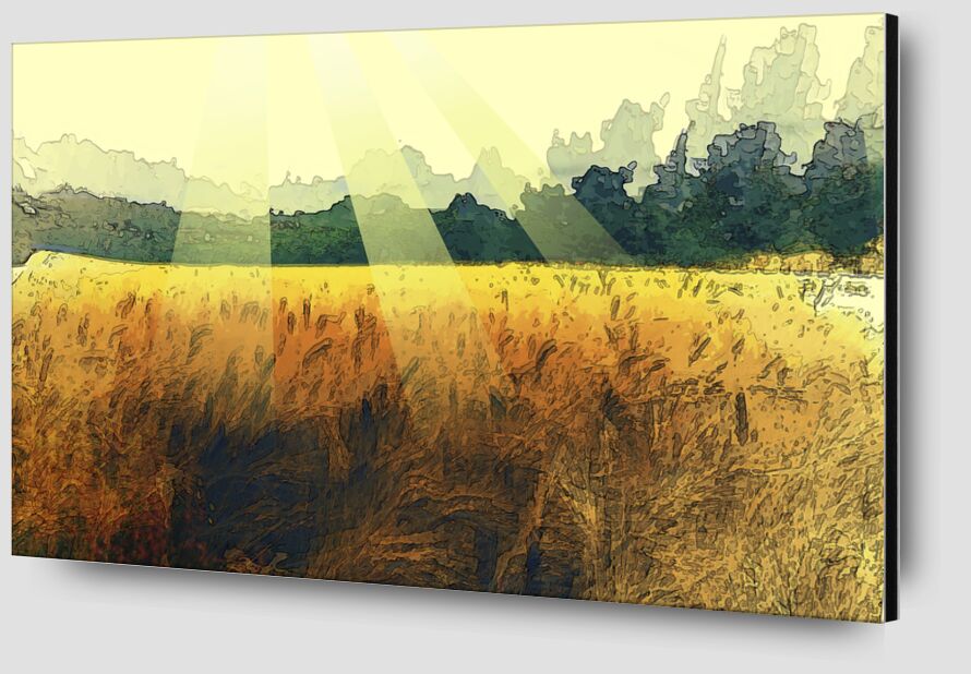 The wheat and its sun from Adam da Silva Zoom Alu Dibond Image