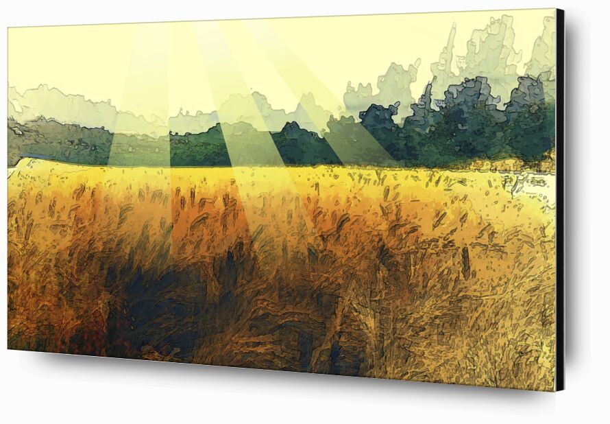 Le blé et son soleil de Adam da Silva, Prodi Art, blé, soleil, peinture, arbres, récolte
