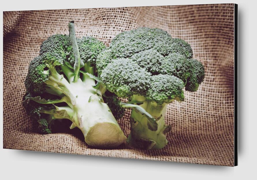 Broccoli from Pierre Gaultier Zoom Alu Dibond Image