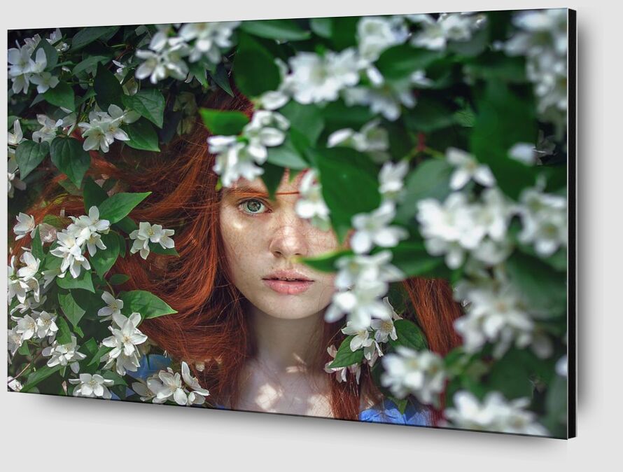 Behind the flowers from Pierre Gaultier Zoom Alu Dibond Image