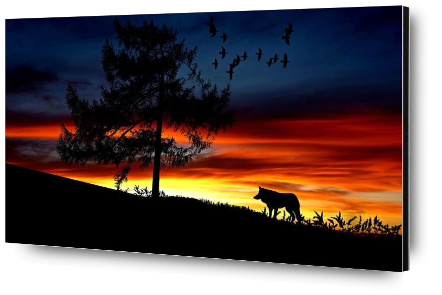 Waiting from Aliss ART, Prodi Art, flock of birds, Dark Sky, afterglow, wolf, tree, sunset, sunrise, silhouette, outdoors, lighting, landscape, evening, dusk, desert, dawn, color, clouds, backlit, animal