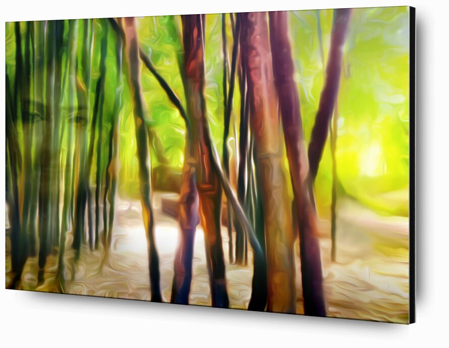 Derrière les bambous de Adam da Silva, Prodi Art, forêt, lumière, vert, marron, visage, femme, bambous, bambouseraie, sable