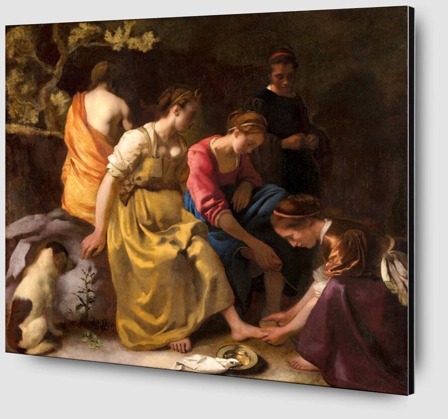 Diana and Her Companions - Vermeer from Fine Art Zoom Alu Dibond Image