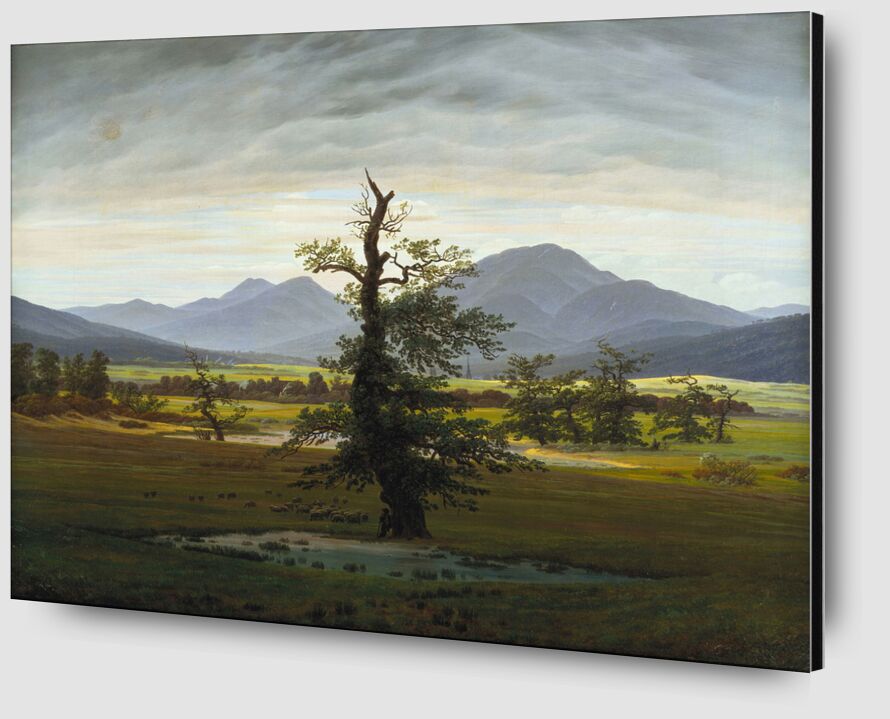 Solitary Tree - Caspar David Friedrich from Fine Art Zoom Alu Dibond Image