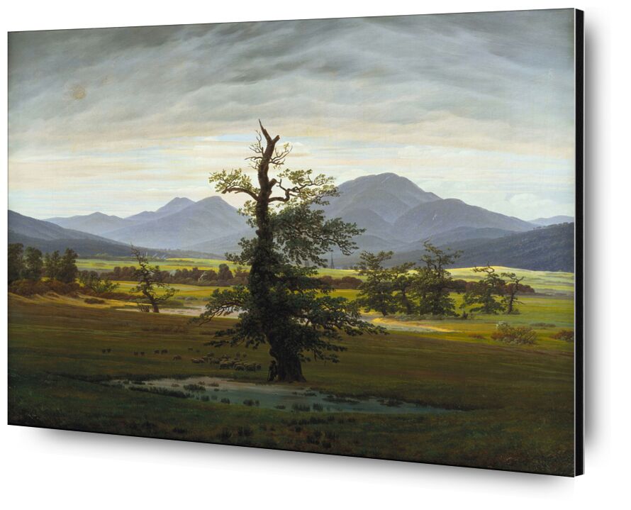Solitary Tree - Caspar David Friedrich from Fine Art, Prodi Art, hill, mountains, tree, Friedrich, Caspar David Friedrich, brebis, coline, lake