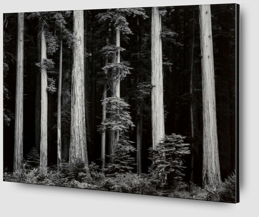 What Majestic Word, In Memory of Russell Varian - Ansel Adams from Fine Art Zoom Alu Dibond Image