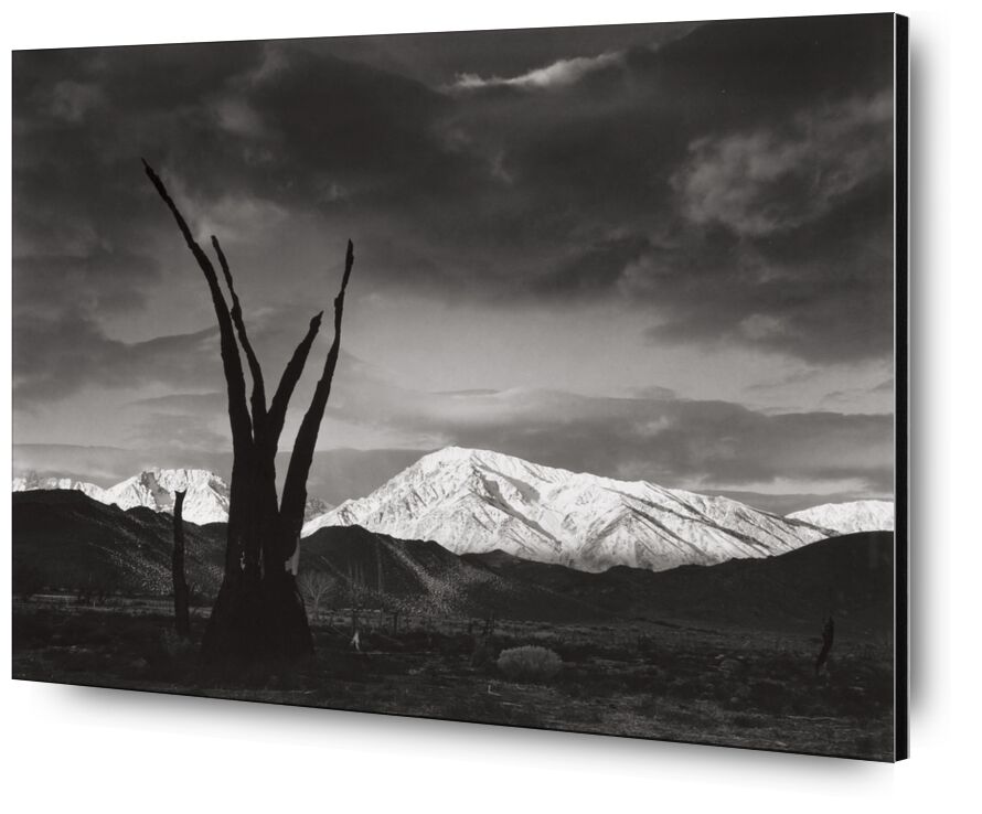 Sunrise, Mount Tom, Sierra Nevada, 1948 - Ansel Adams from Fine Art, Prodi Art, ANSEL ADAMS, adams, Sierra Nevada, mountain, black-and-white