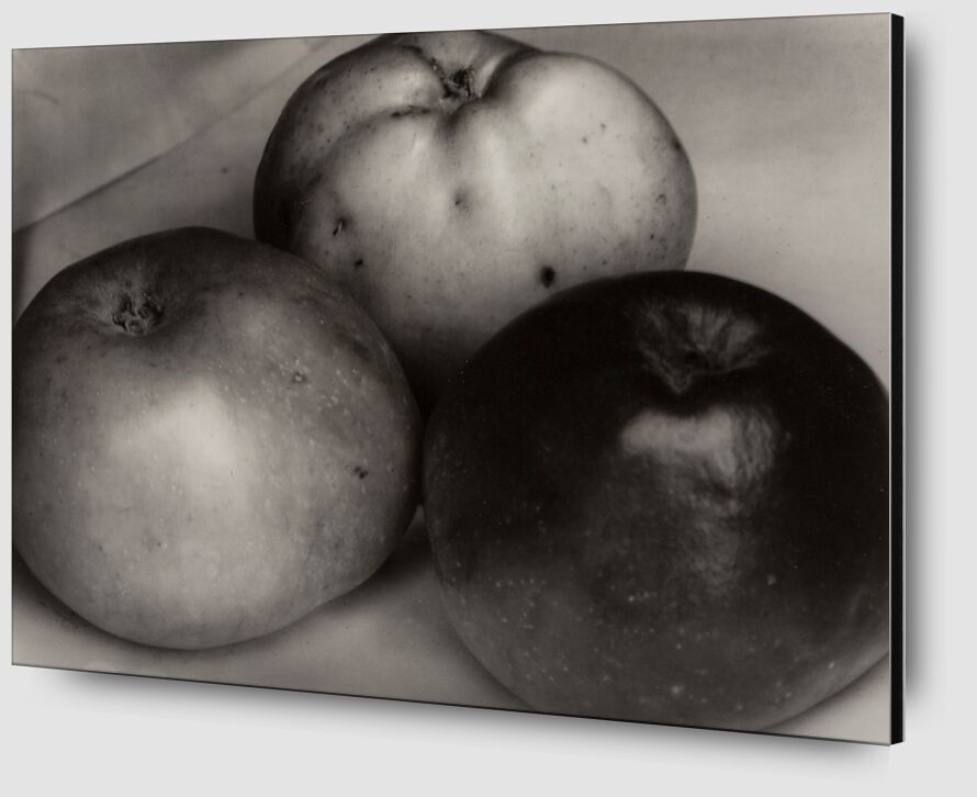 Three Apples, France, circa 1921 desde Bellas artes Zoom Alu Dibond Image