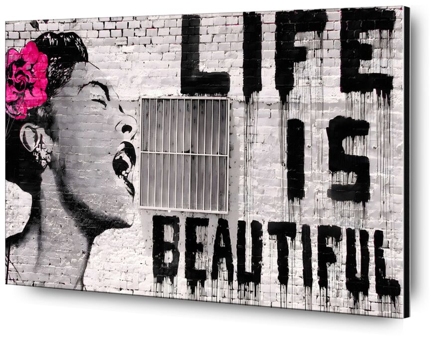 Life is Beautiful desde Bellas artes, Prodi Art, Banksy, mujer, hermosa, vida, calle, foto callejera