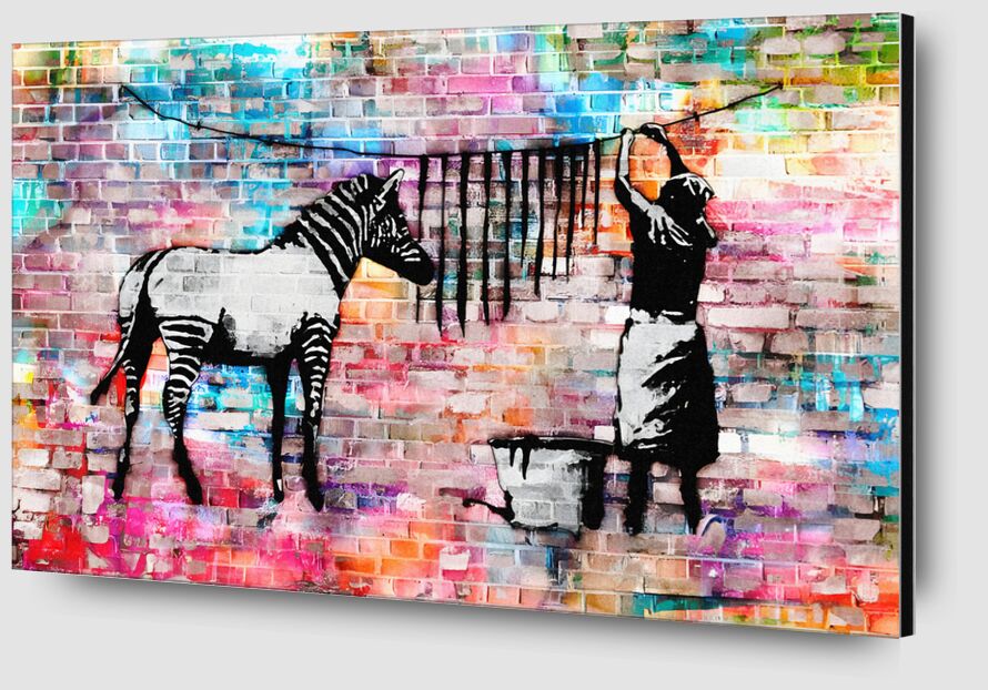Colourful Washing Zebra on Concrete - Banksy from Fine Art Zoom Alu Dibond Image