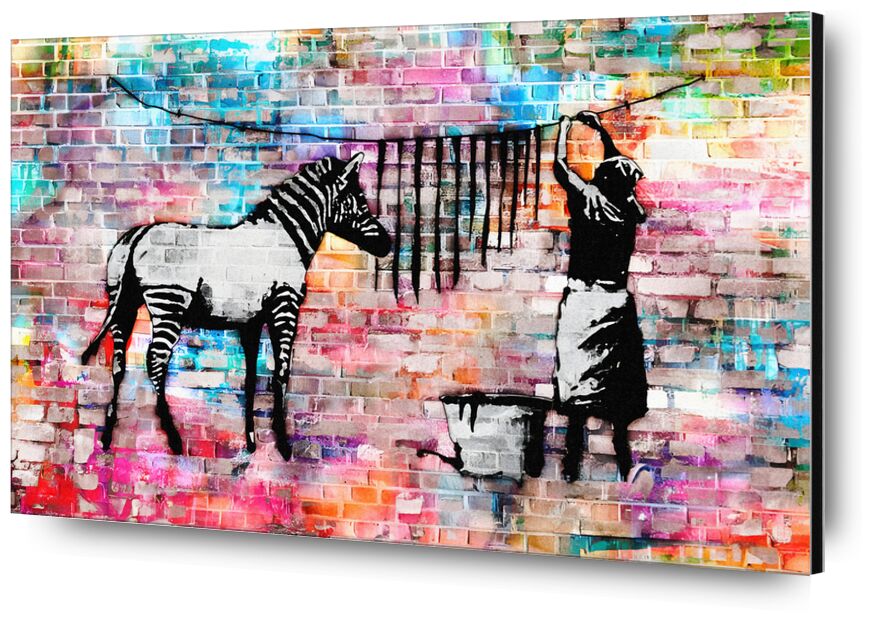 Colourful Washing Zebra on Concrete - Banksy from Fine Art, Prodi Art, clean, street photo, street, zebra, banksy