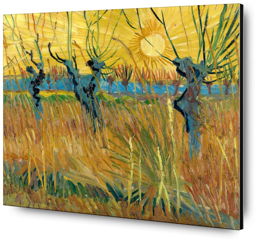 Pollard Willows at Sunset - Van Gogh from Fine Art, Prodi Art, Van gogh, VINCENT VAN GOGH, Sun, setting sun, sunset, painting, vine