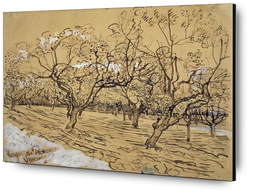 Plum Tree in Bloom : Orchard of Provence desde Bellas artes, Prodi Art, Van gogh, VINCENT VAN GOGH, paisaje, campos, naturaleza, Francia, ciruelo