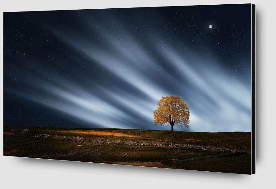 L'arbre de nuit de Pierre Gaultier Zoom Alu Dibond Image