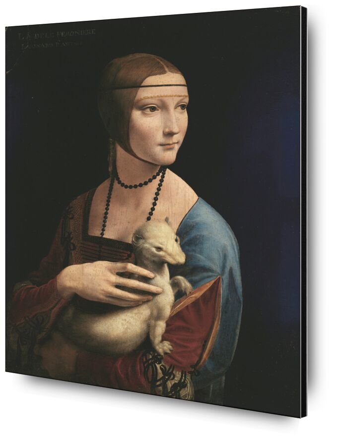 La dama del armiño desde Bellas artes, Prodi Art, virginidad, casto, Hermione, mujer, retrato, Leonardo da Vinci