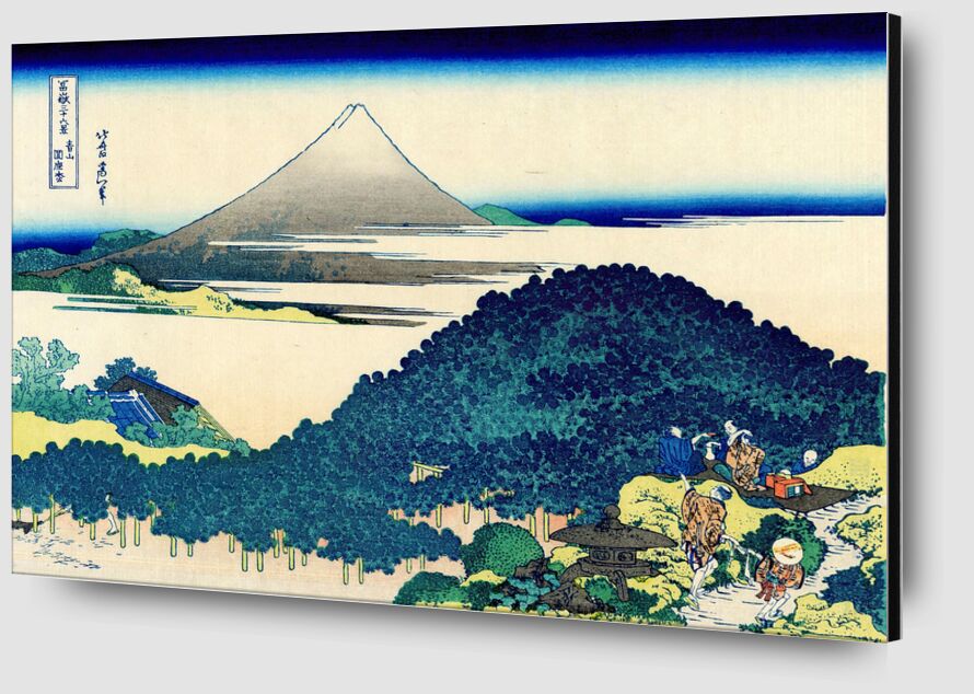 Pinos Redondeados en Aoyama desde Bellas artes Zoom Alu Dibond Image