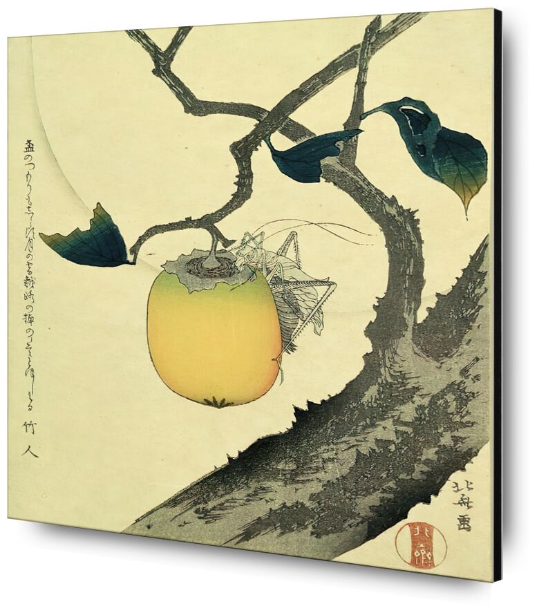 Luna, Caqui y Saltamontes desde Bellas artes, Prodi Art, caligrafía, Japón, Fruta, árbol, naturaleza, luna, Hokusai