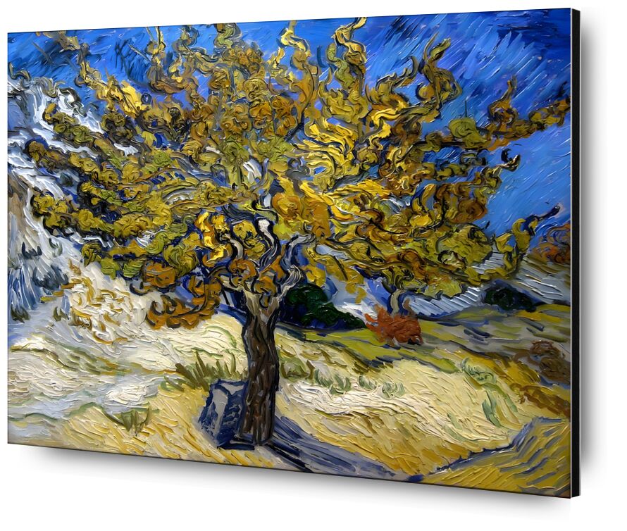 Mulberry Tree at  Saint-Rémy - 1889 desde Bellas artes, Prodi Art, pintura de aceite, prado, azul, VINCENT VAN GOGH, sol, pintura, árbol