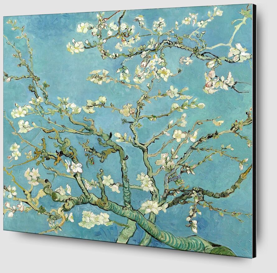 Almond Blossom, Saint-Rémy - VINCENT VAN GOGH 1890 from Fine Art Zoom Alu Dibond Image