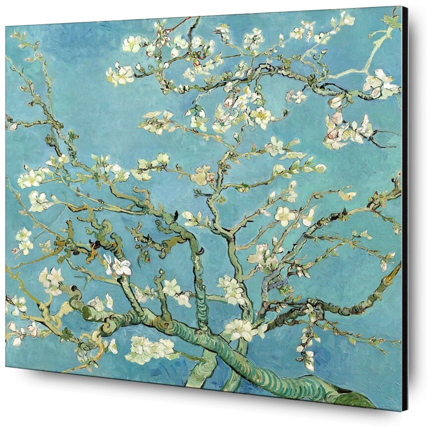 Flor de almendro, Saint-Rémy - VINCENT VAN GOGH 1890 desde Bellas artes, Prodi Art, árbol floreciente, VINCENT VAN GOGH, naturaleza, flores, rama, árbol, pintura