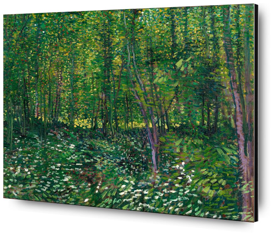 Trees and undergrowth - 1887 desde Bellas artes, Prodi Art, maleza, VINCENT VAN GOGH, pintura, flores, árboles, bosque, verde, naturaleza, madera