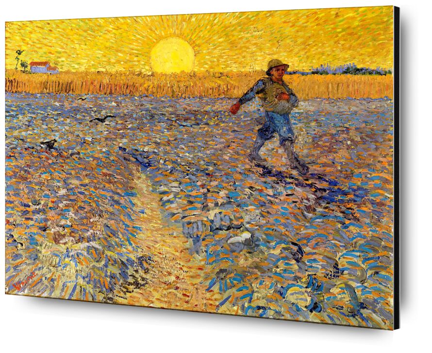 Sower at Sunset - 1888 desde Bellas artes, Prodi Art, sembrar, agricultor, campesino, VINCENT VAN GOGH, campos, pintura, sol, campos de trigo, paisaje