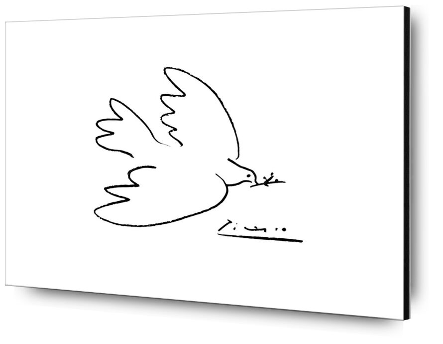 Dove of peace desde Bellas artes, Prodi Art, PABLO PICASSO, dibujo a lápiz, paloma, dibujo