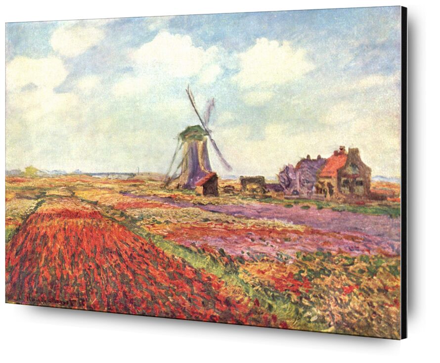 Tulip fields in Holland 1886 von Bildende Kunst, Prodi Art, Tulpe, Tulpenfelder, CLAUDE MONET, Wolken, Himmel, Landwirtschaft, Natur, Mühle, Felder