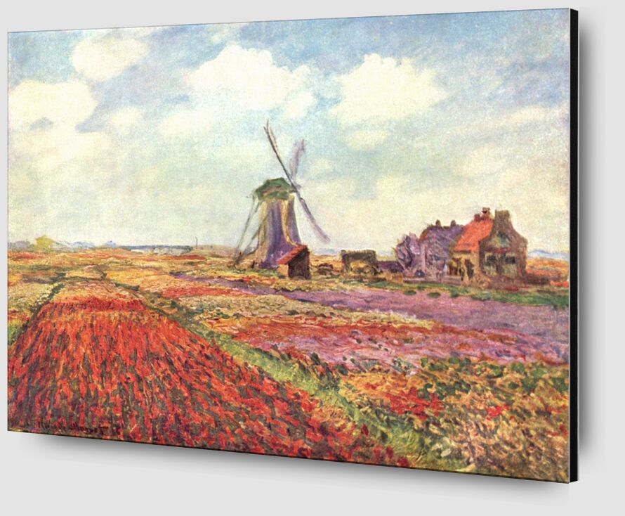 Tulip fields in Holland - CLAUDE MONET 1886 desde Bellas artes Zoom Alu Dibond Image