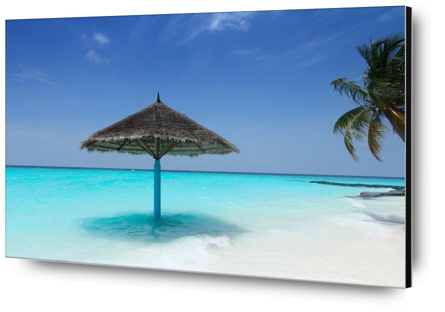 Maldive de Aliss ART, Prodi Art, palmier, Maldives, eau, vacances, turquoise, tropical, Voyage, soleil, été, ciel, rivage, paysage marin, mer, plage de sable, sable, recours, relaxation, parasol, paradis, océan, nature, île, idyllique, Couleur, beau, plage
