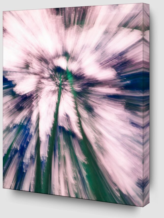 L’arbre rose de Céline Pivoine Eyes Zoom Alu Dibond Image