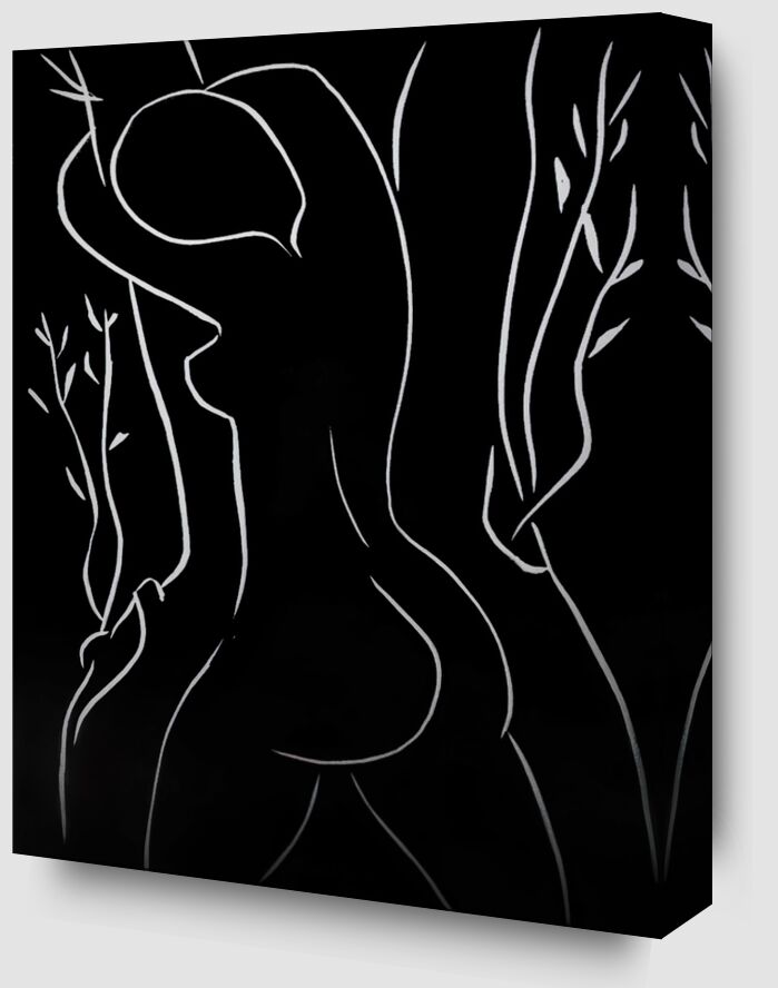 Pasiphae and Olive Tree from Fine Art Zoom Alu Dibond Image