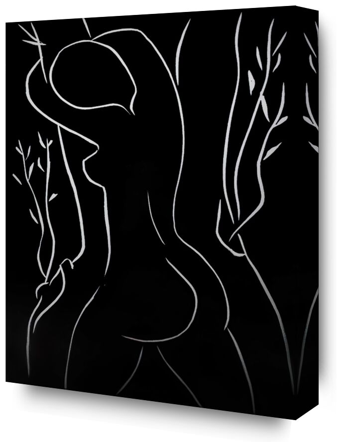 Pasiphae and Olive Tree from Fine Art, Prodi Art, black-and-white, nude, woman, pencil, drawing, Matisse