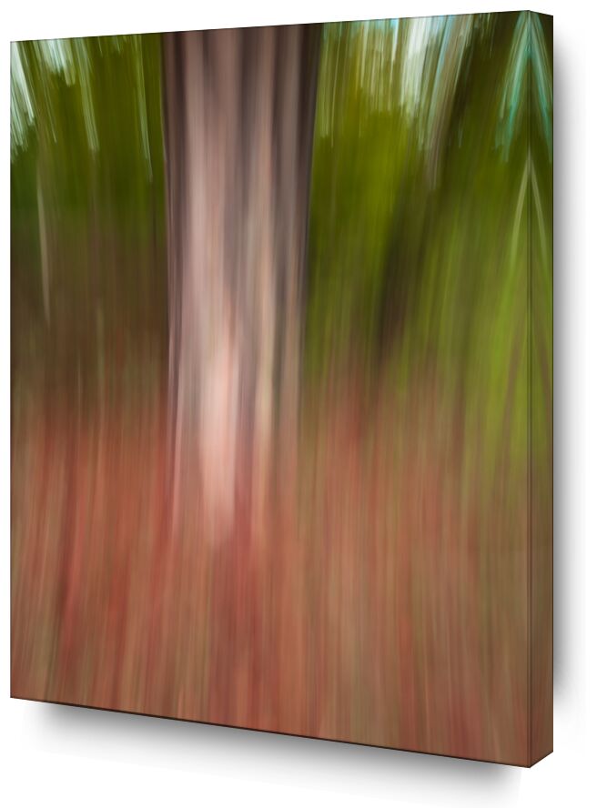 L’arbre en ICM de Céline Pivoine Eyes, Prodi Art, paysage, nature, automne, forêt, arbre, Photographie abstraite, art abstrait, art, flou artistique, Mouvement intentionnel de la caméra, ICM, Fontain