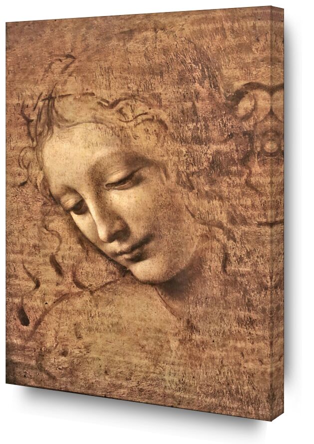 La Scapigliata - Leonardo da Vinci from AUX BEAUX-ARTS, Prodi Art, woman, portrait, Leonard de Vinci, pencil drawing