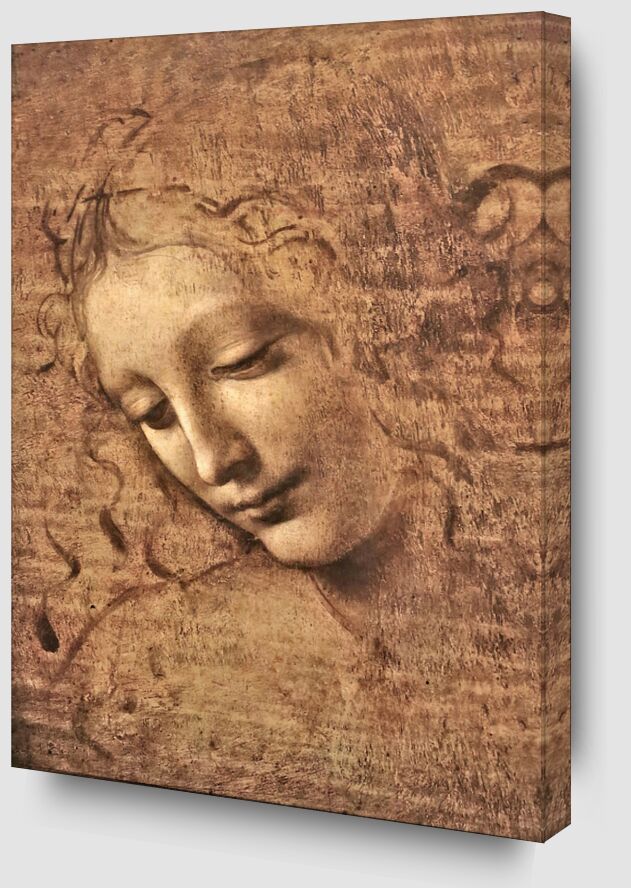La Scapigliata - Léonard de Vinci de Beaux-arts Zoom Alu Dibond Image