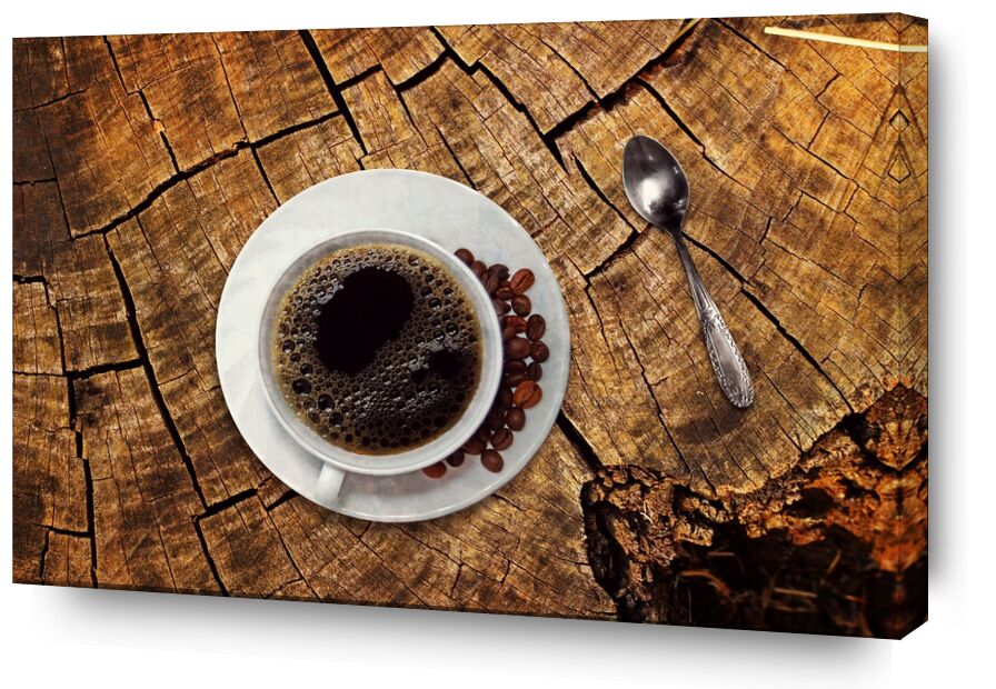 L'arbre à café de Pierre Gaultier, Prodi Art, grain de bois, pause café, cuillère à café, la gastronomie, Pause, bénéficier de, table en bois, des haricots, tasse à café, vieux, bois, arôme, table, nature morte, grains de café, boisson, Coupe, café