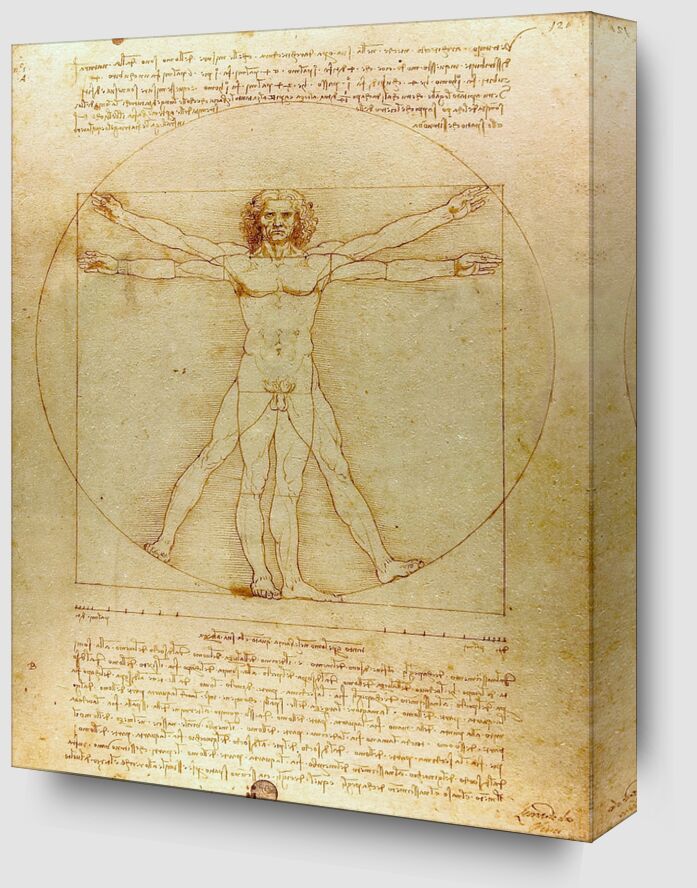 Vitruvian Man - Leonardo da Vinci from Fine Art Zoom Alu Dibond Image