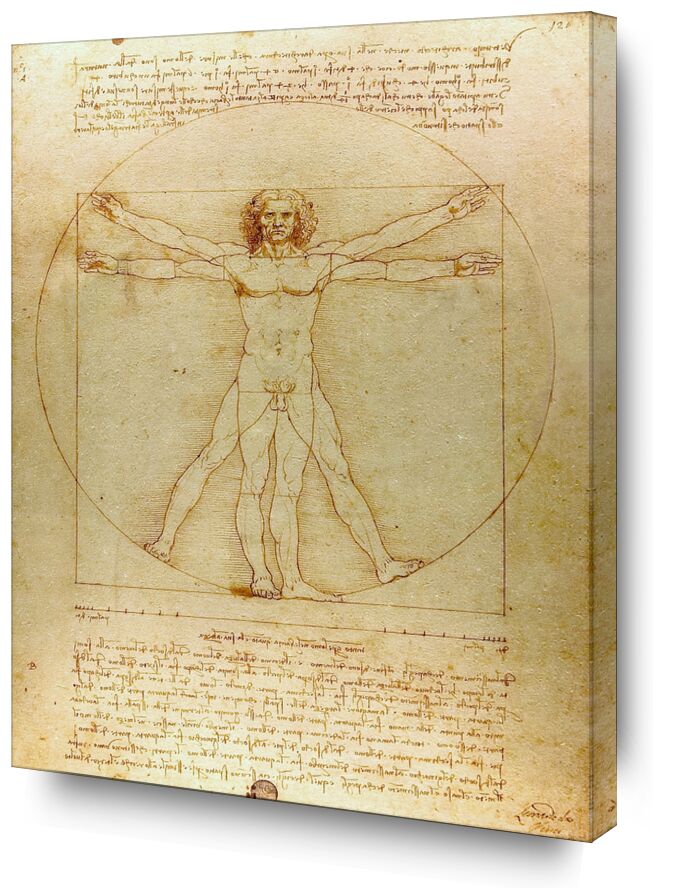 Vitruvian Man - Leonardo da Vinci from AUX BEAUX-ARTS, Prodi Art, man, nature, De Vinci, drawing, pencil, Leonard da vinci, geometry
