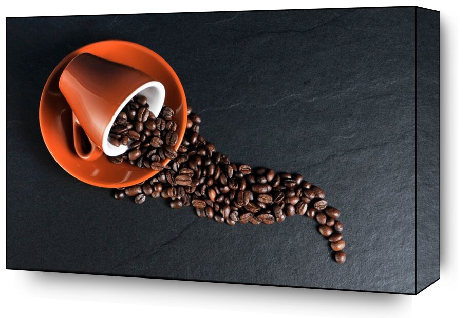 The cup and its grains from Pierre Gaultier, Prodi Art, beans, coffee cup, coffee beans, cup, coffee