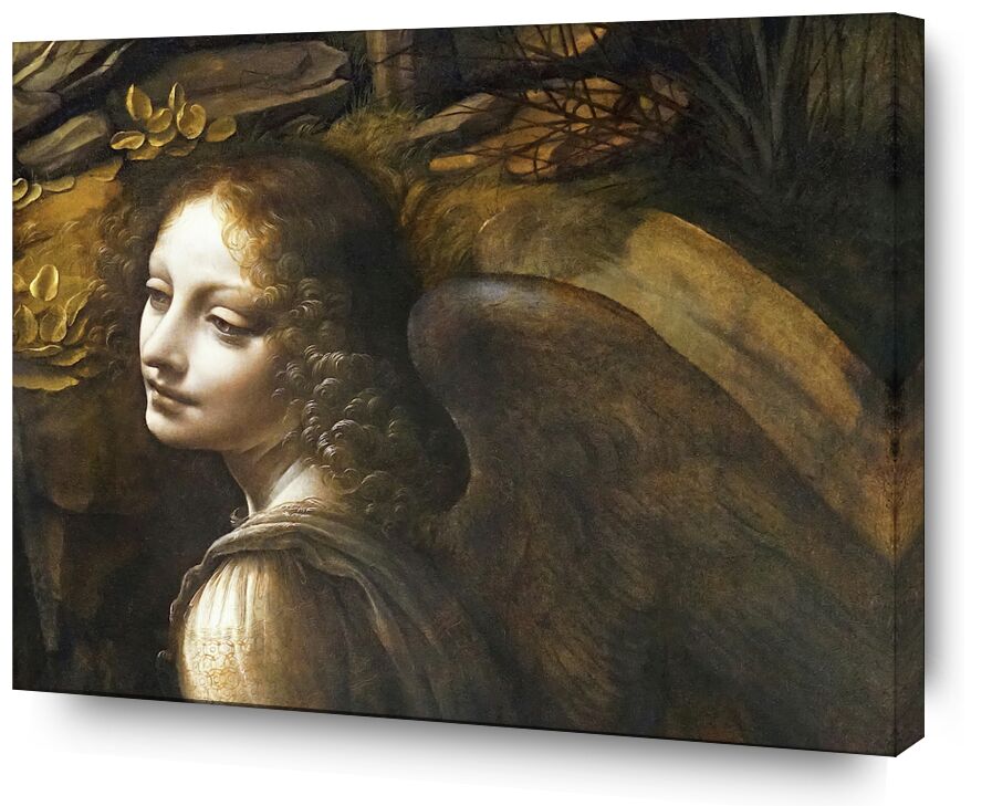 Details of The Angel, The Virgin of the Rocks - Leonardo da Vinci from AUX BEAUX-ARTS, Prodi Art, Leonard de Vinci, ange, painting, portrait, wings, woman, curly