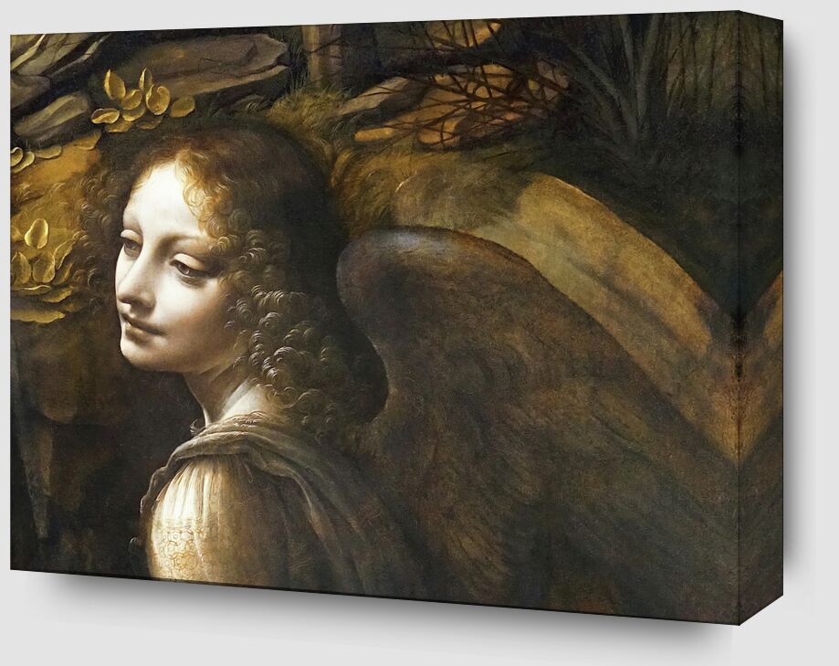 Details of The Angel, The Virgin of the Rocks - Leonardo da Vinci from Fine Art Zoom Alu Dibond Image