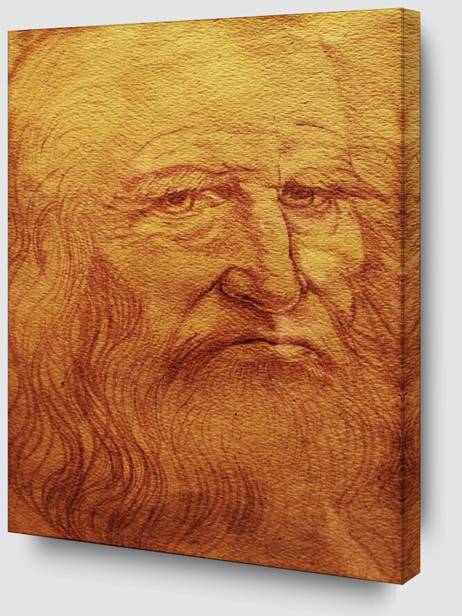 Self-portrait - Leonardo da Vinci from AUX BEAUX-ARTS Zoom Alu Dibond Image