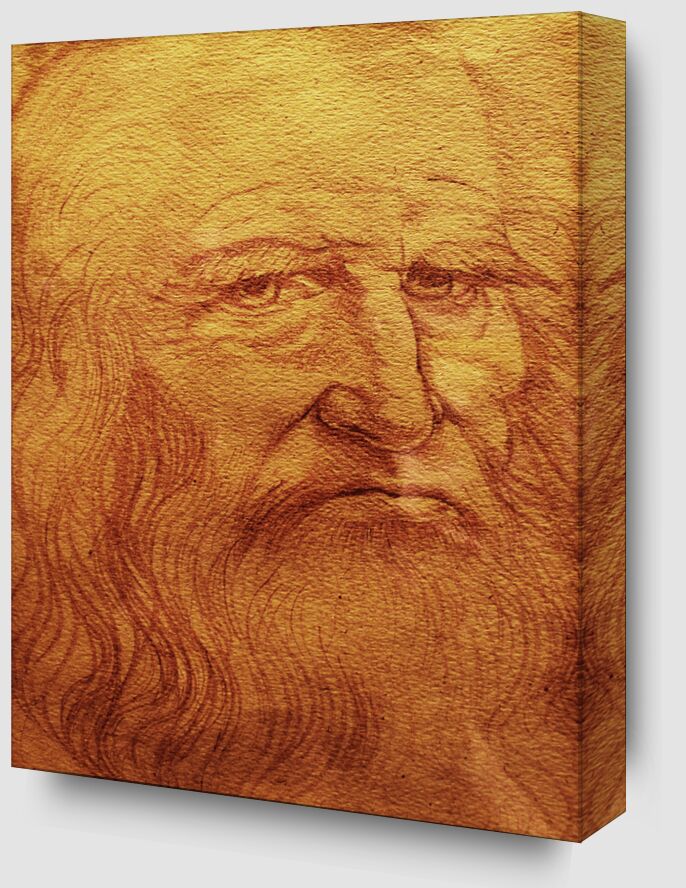 Self-portrait - Leonardo da Vinci from Fine Art Zoom Alu Dibond Image