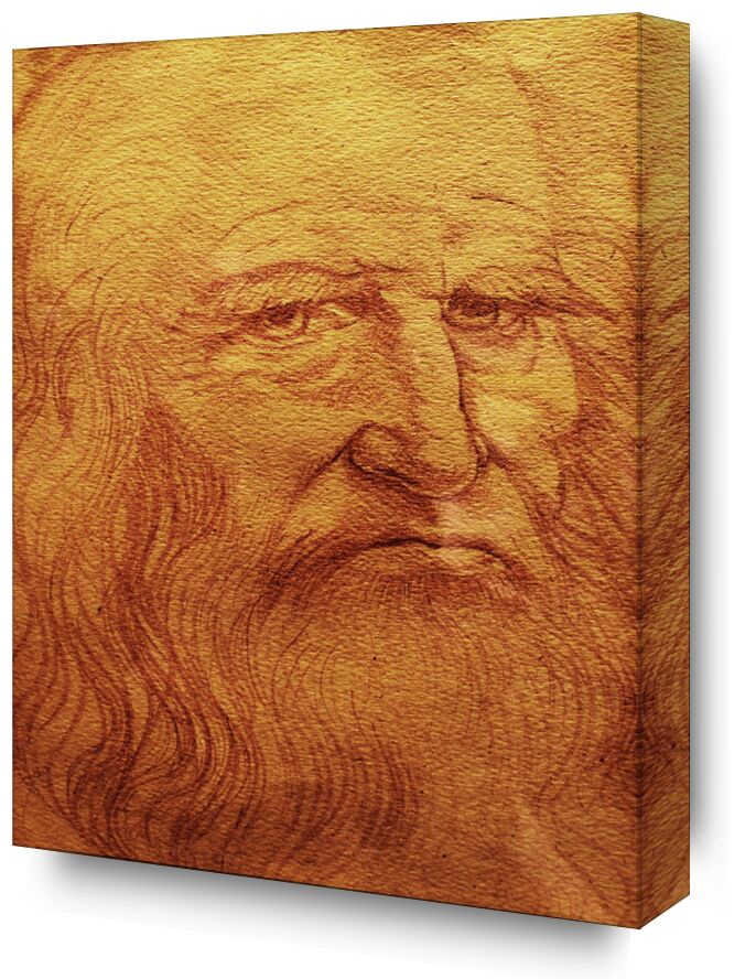 Self-portrait - Leonardo da Vinci from Fine Art, Prodi Art, chalk, drawing, self-portrait, Leonard de Vinci