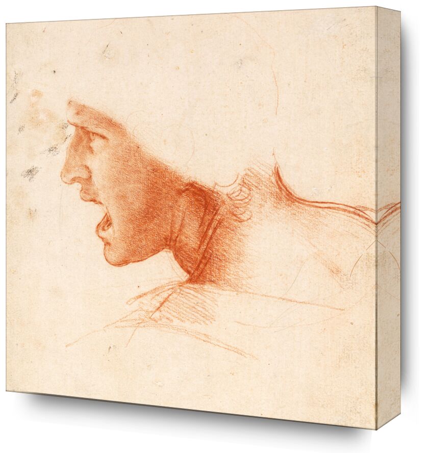 Recto Study for the Head of a Soldier in the Battle of Anghiari - Leonardo da Vinci from Fine Art, Prodi Art, portrait, Leonard de Vinci, soldier, War, pencil, drawing