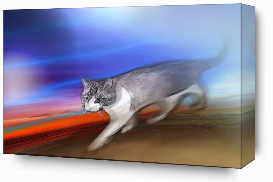 Twix from Adam da Silva, Prodi Art, colors, red, blue, animal, Cat, pet, digital art