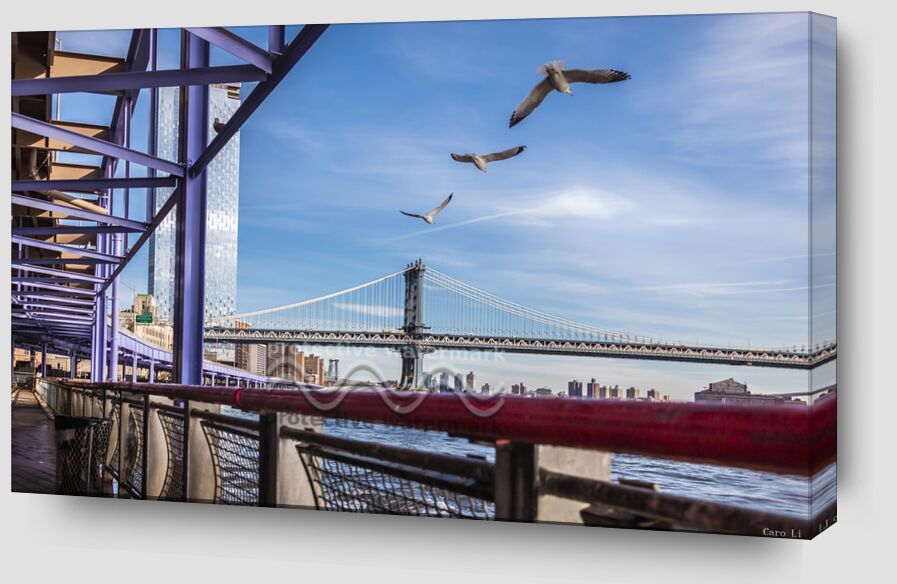 Pont de Manhattan de Caro Li Zoom Alu Dibond Image