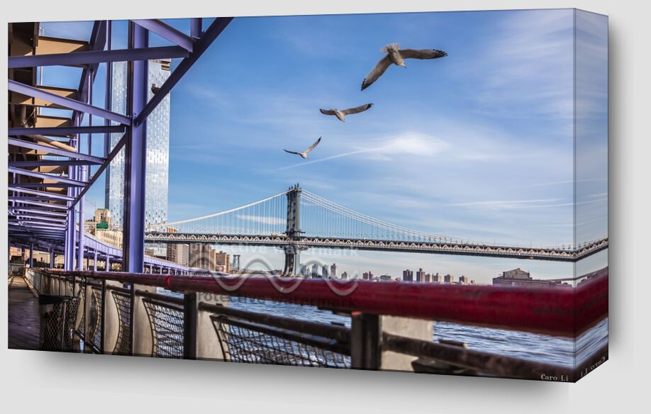 Manhattan Bridge from Caro Li Zoom Alu Dibond Image