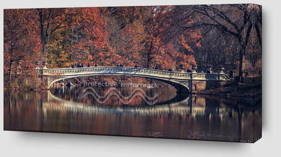 Central Park - Bow Bridge de Caro Li Zoom Alu Dibond Image